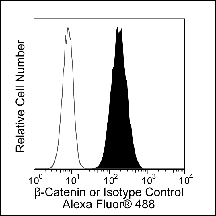 BetaCatenin_562505de.png
